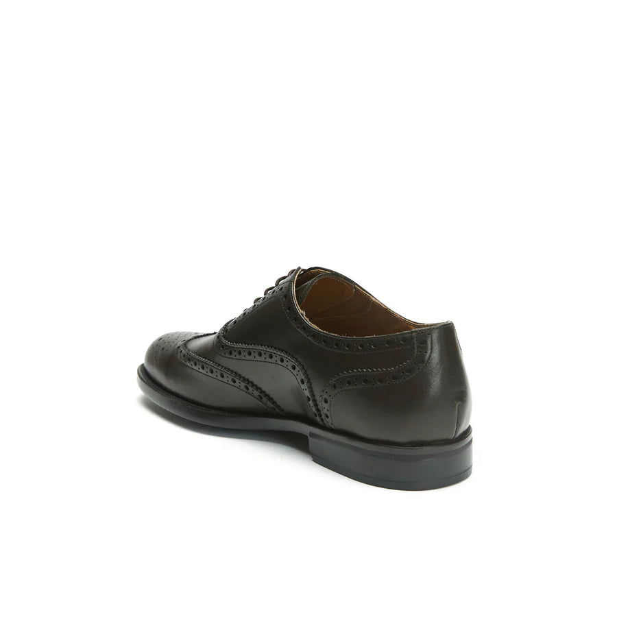 Mahogany Flair Wing tip Oxford