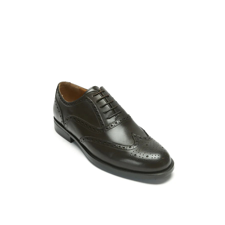 Mahogany Flair Wing tip Oxford