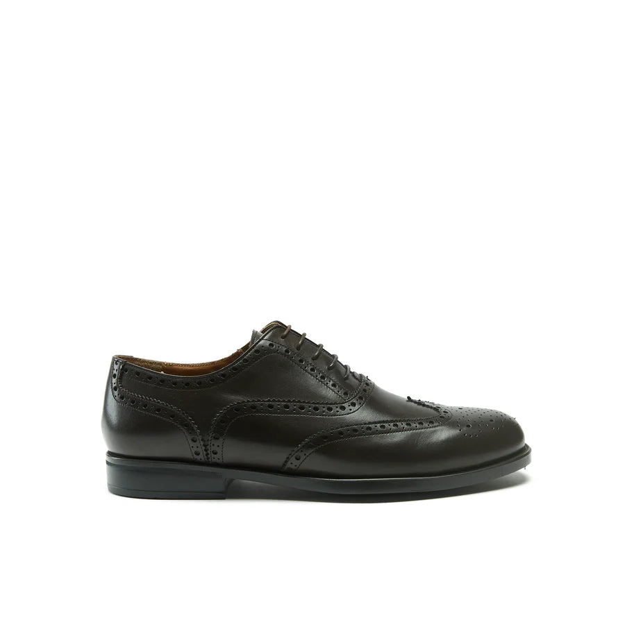 Jet Legacy Wing tip Oxford